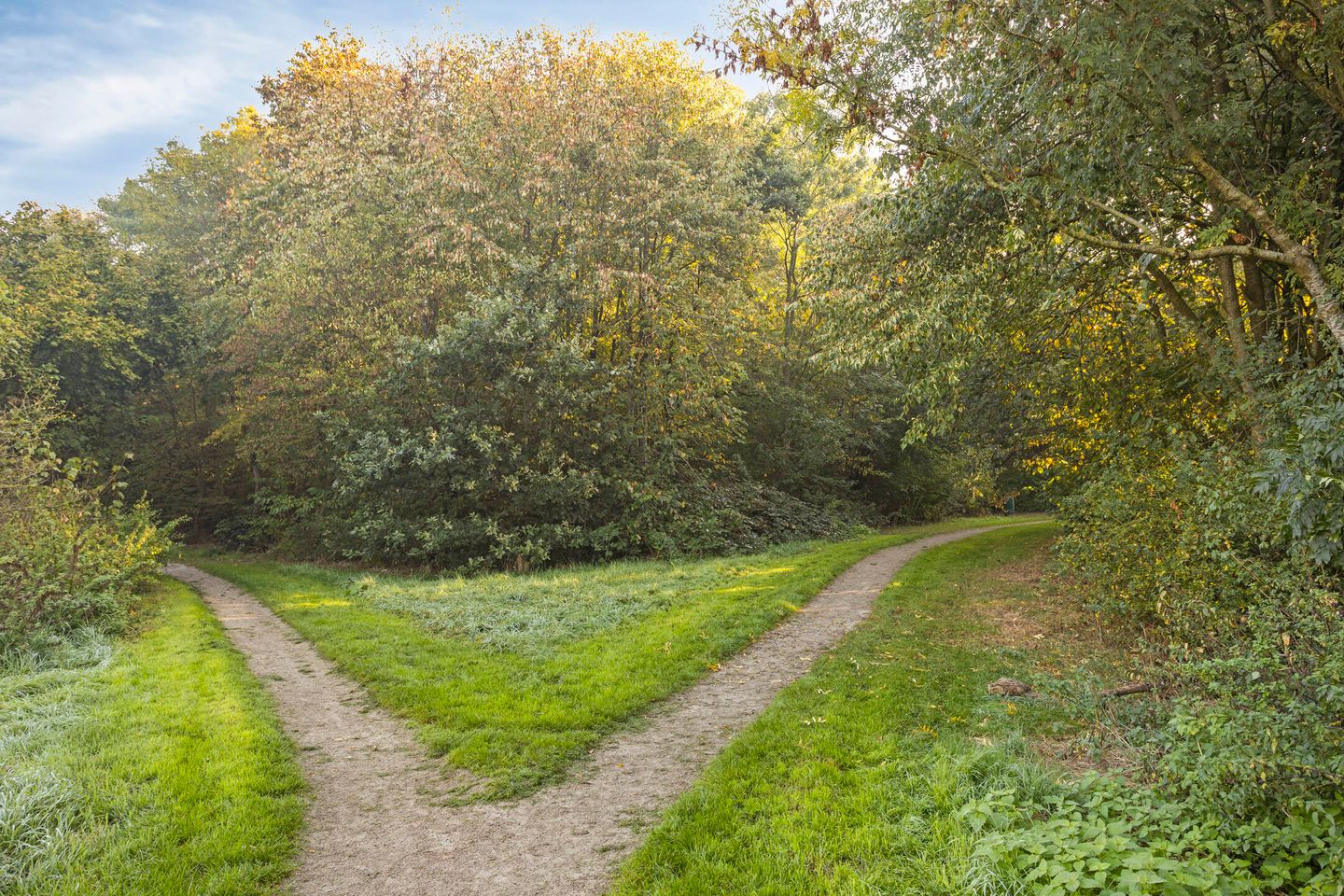 Photo 44 of Wolfsenwaard 53