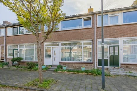 Schroeder van der Kolkstraat thumbnail