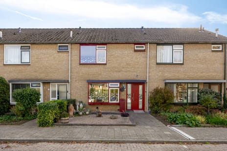 Ligusterstraat thumbnail