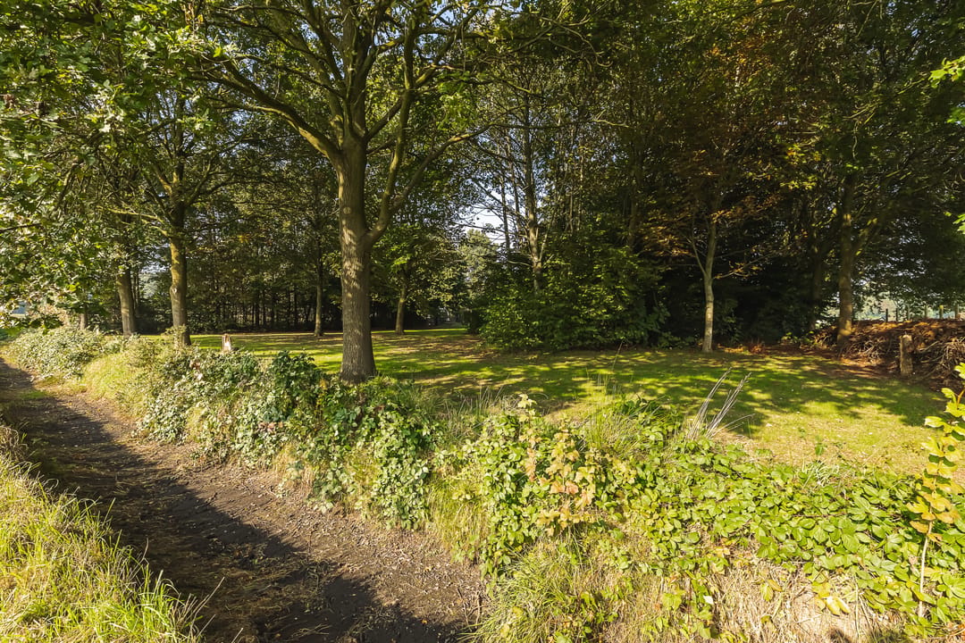 Photo 56 of Oud Kerkpad 32