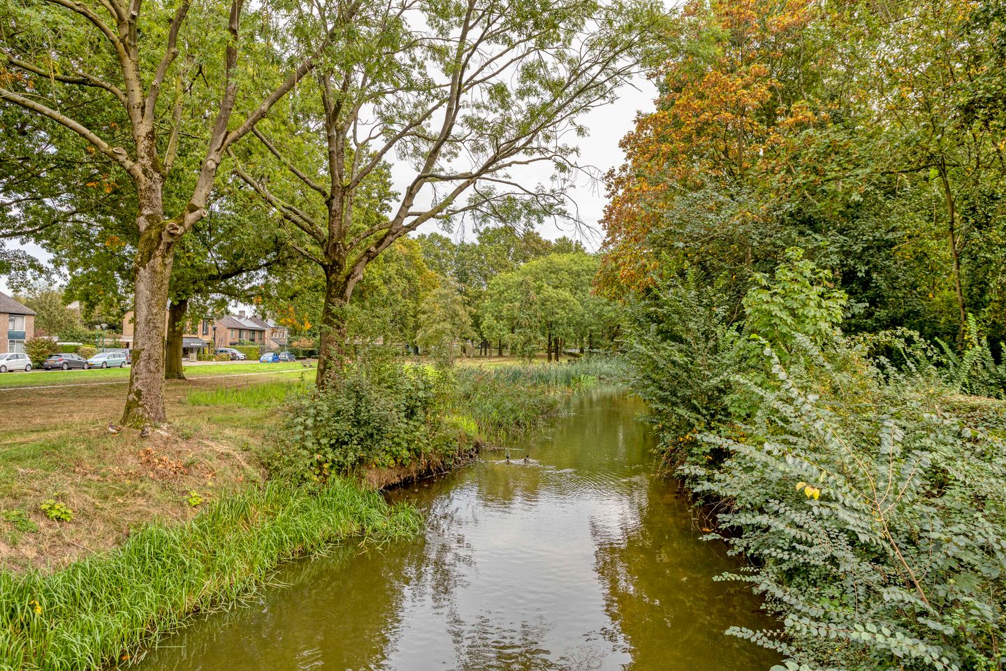 Photo 34 of Dr.Wierstraat 5
