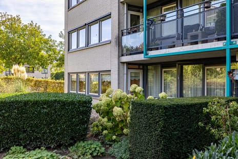 Hof van Cambridge thumbnail
