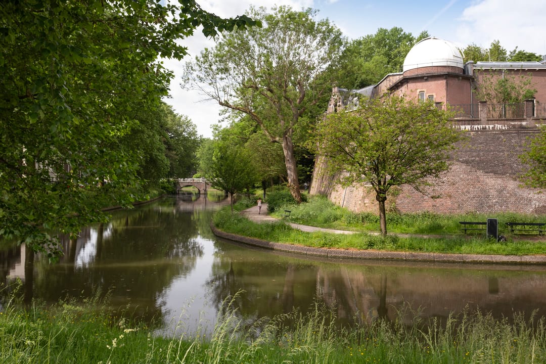 Photo 52 of Iepstraat 12