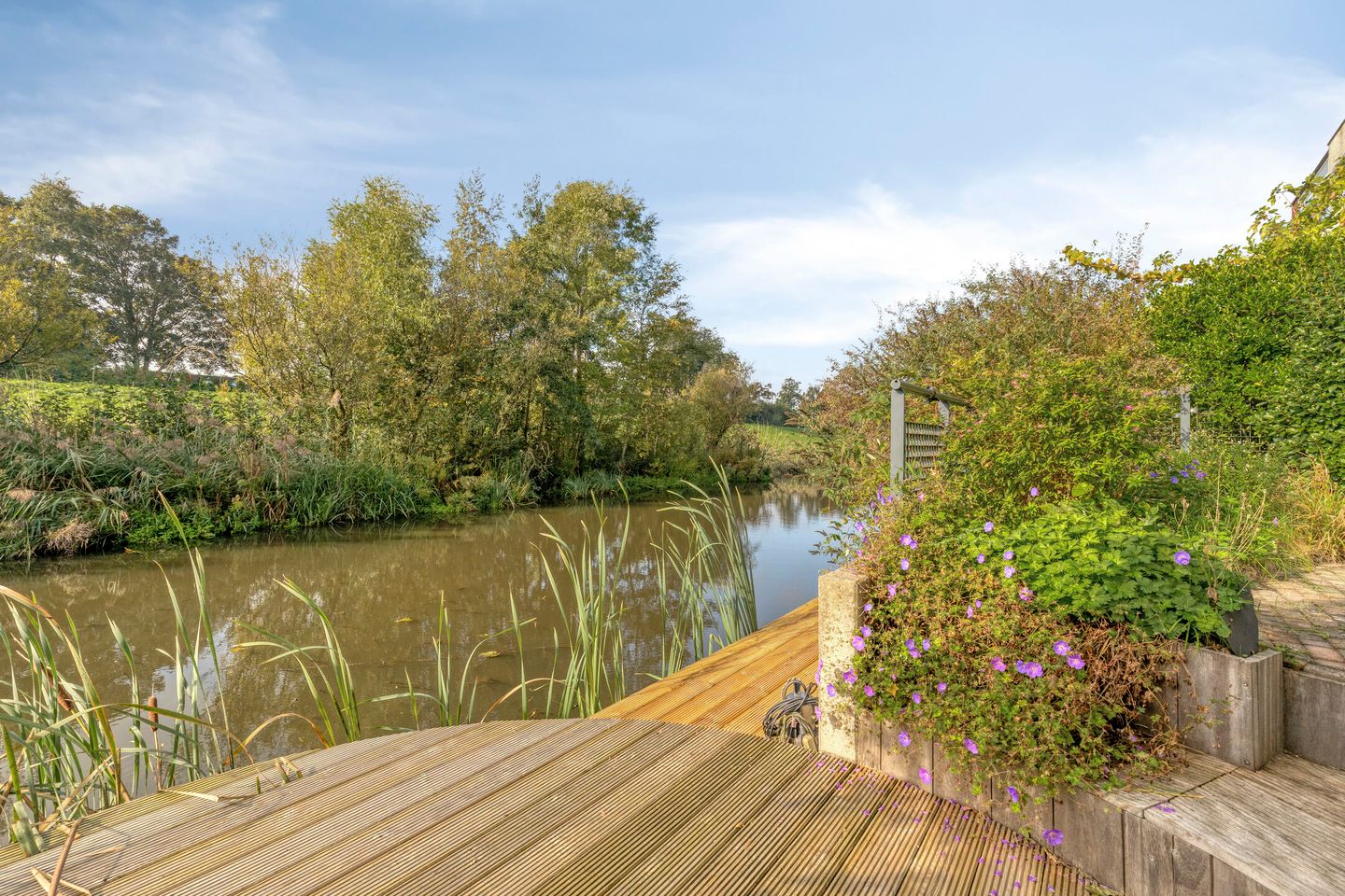 Foto 14 van Escudolaan 34
