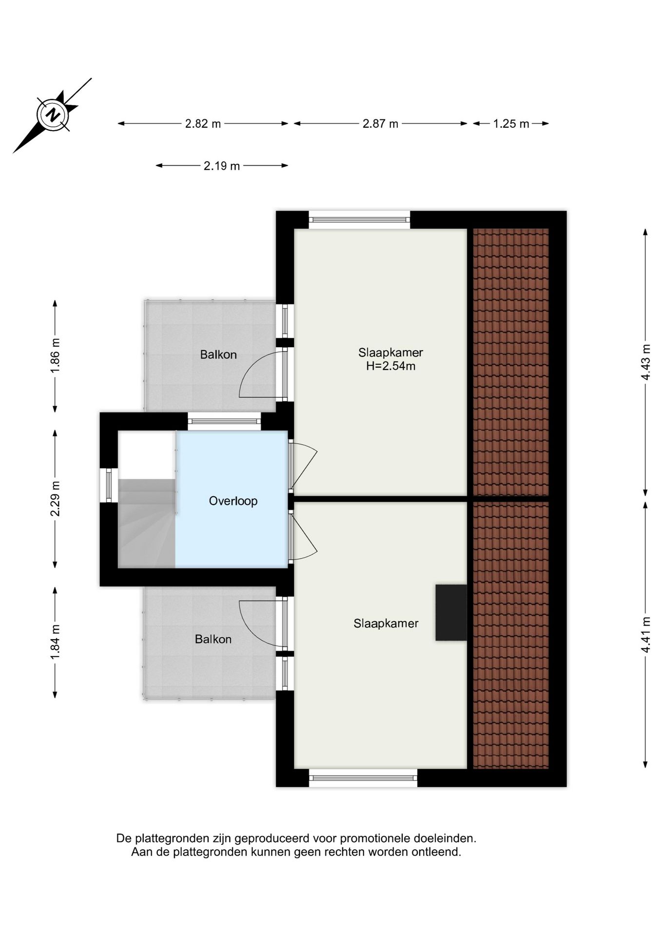 Photo 65 of Meerkoet 2