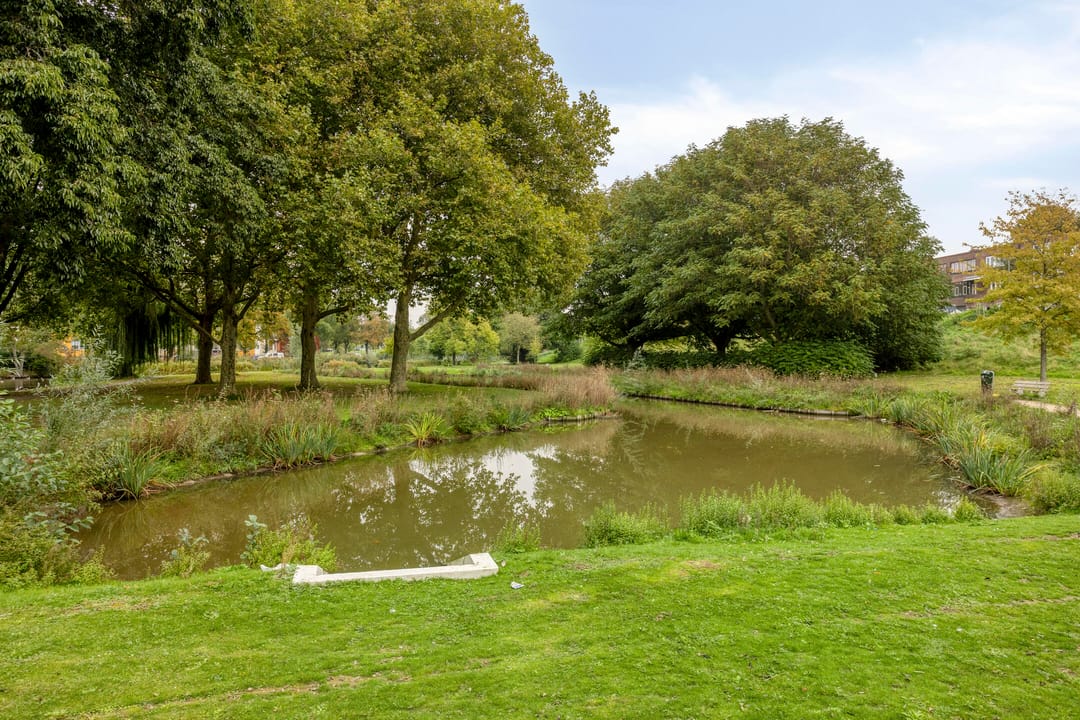 Foto 46 van Vlaardingerdijk 215