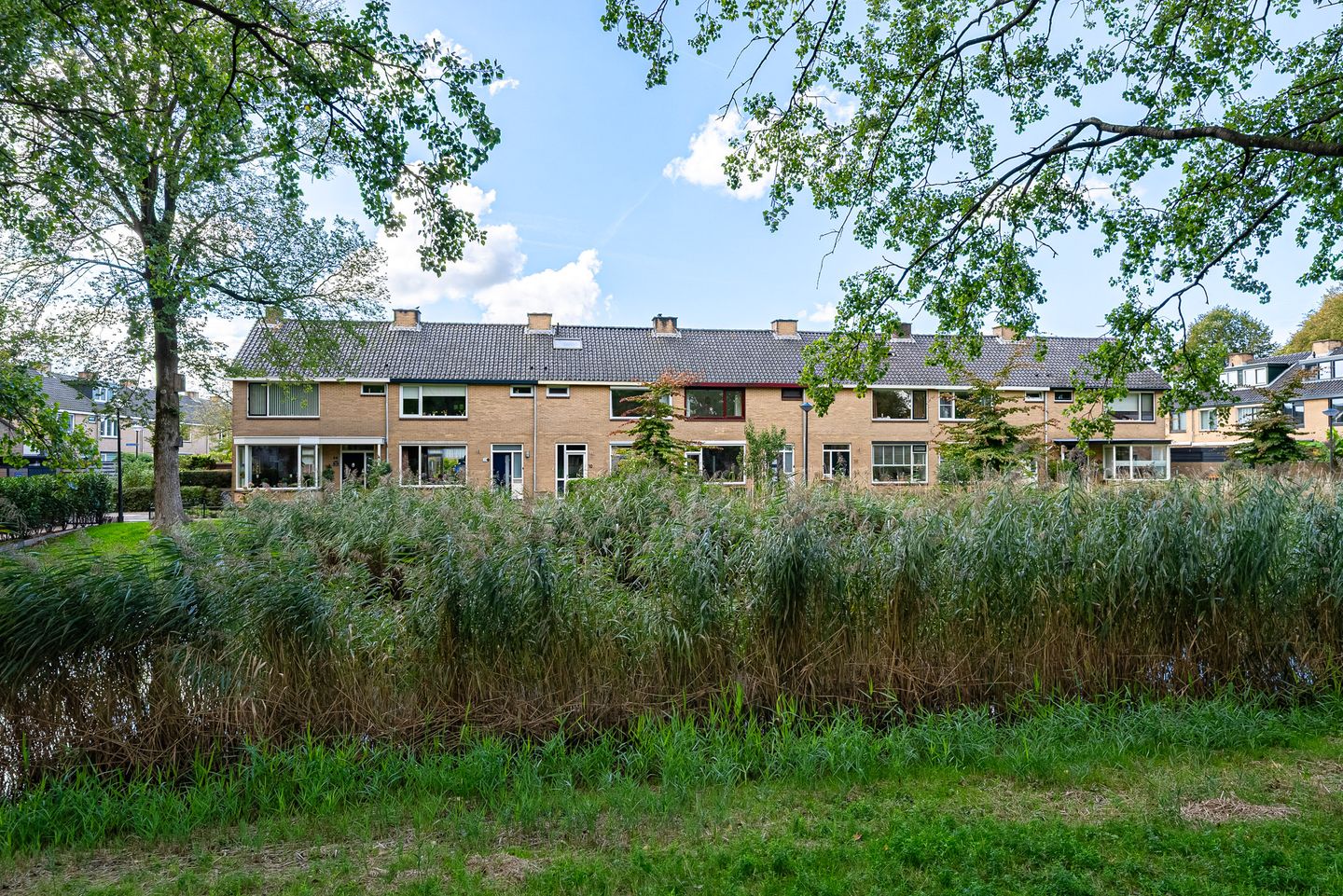 Foto 4 van Iepenlaan 8