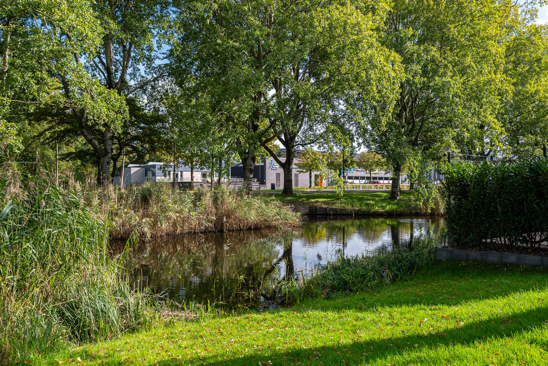 Foto 52 van Iepenlaan 8