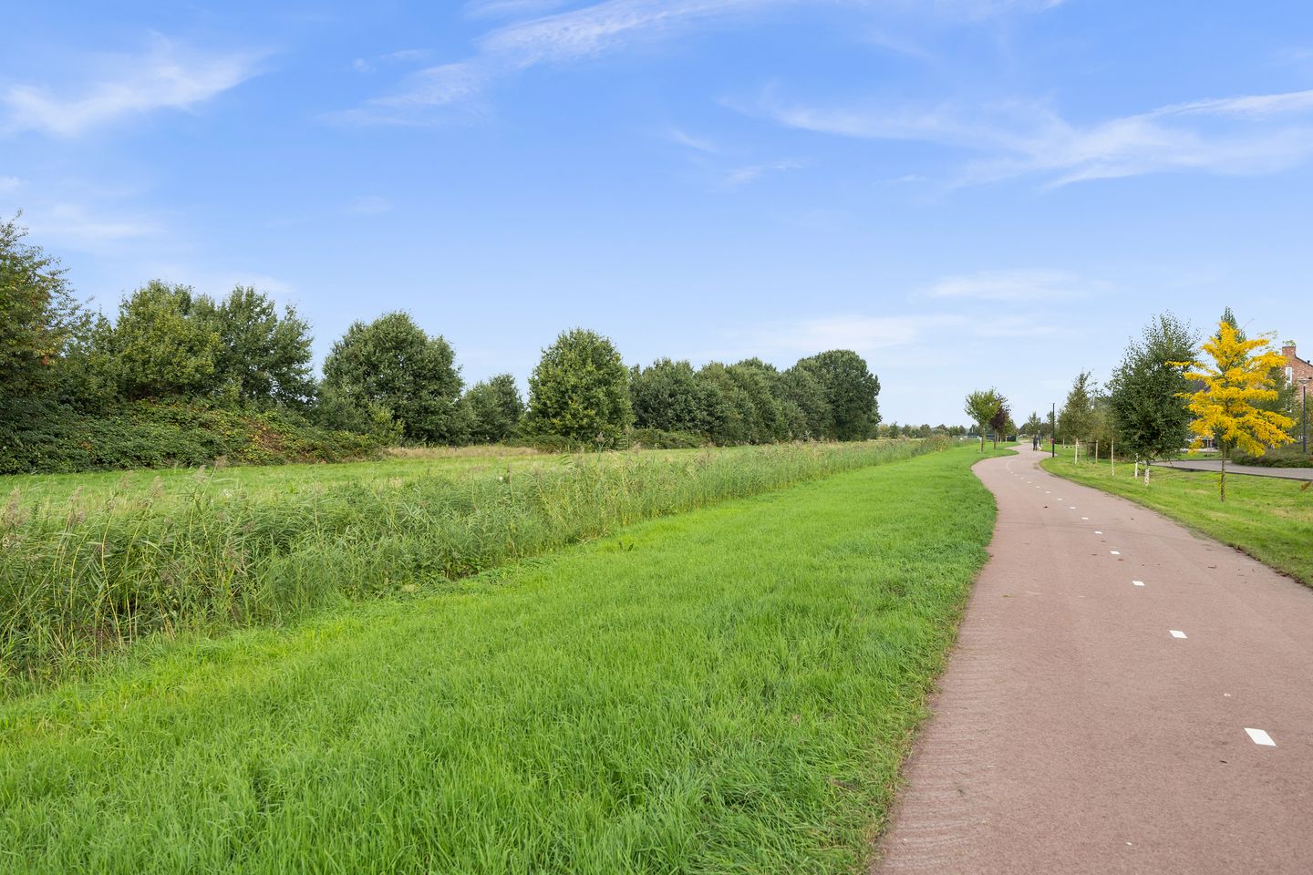 Photo 55 of Burgemeester de Geusstraat 80