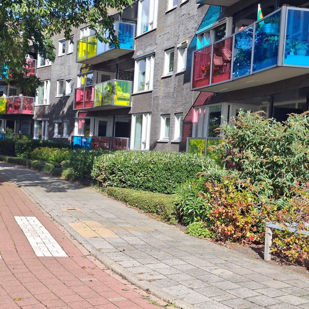 Foto 1 van Drooghe Bol 2028