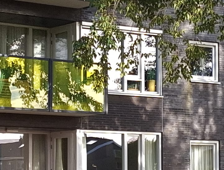 Foto 3 van Drooghe Bol 2028