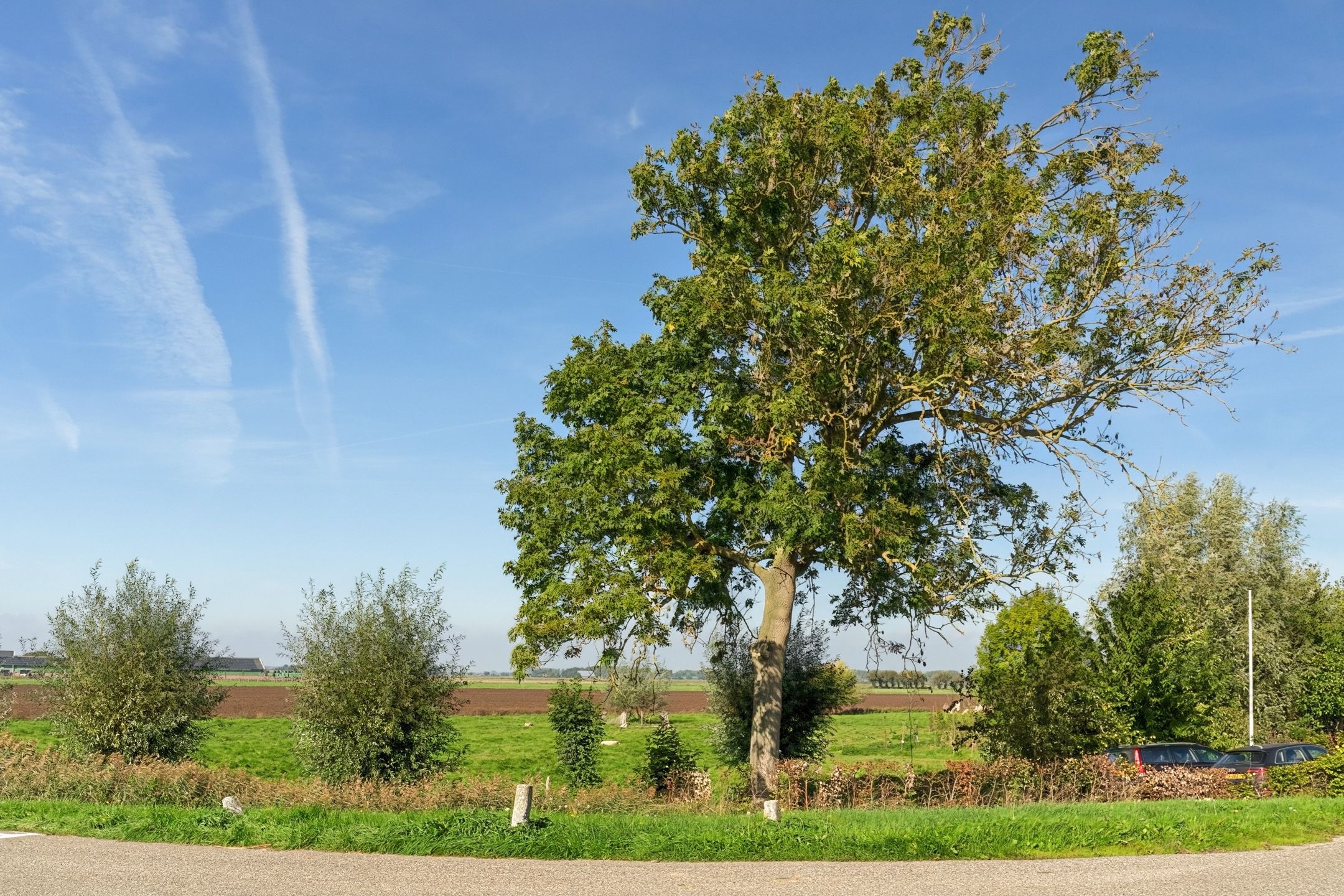 Foto 96 van Dussen Dijk 18