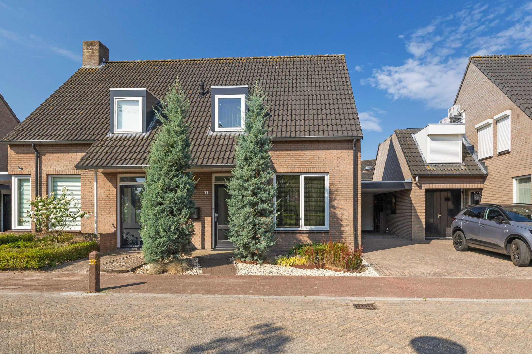 Sleutelbloem 11 