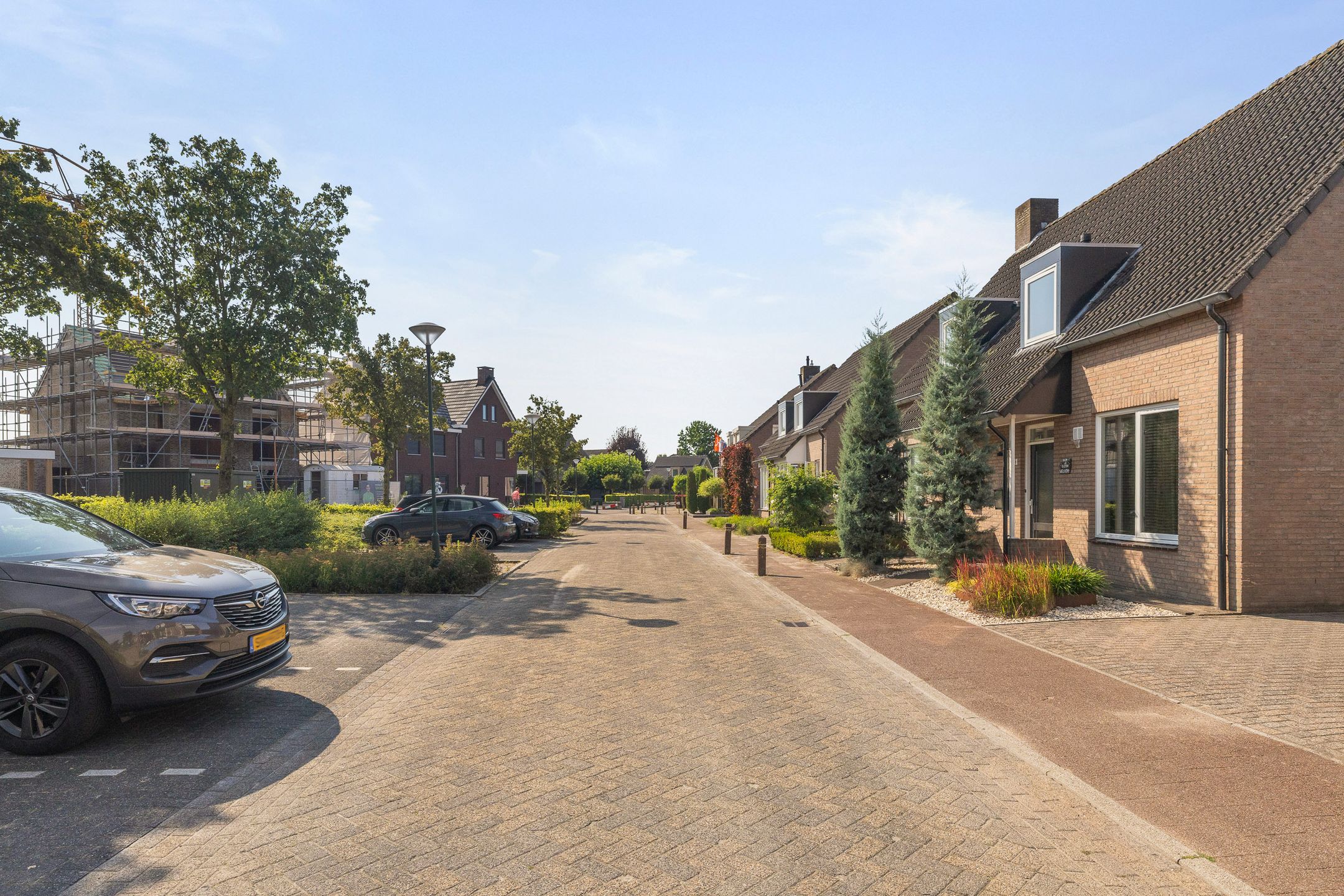 Photo 33 of Sleutelbloem 11