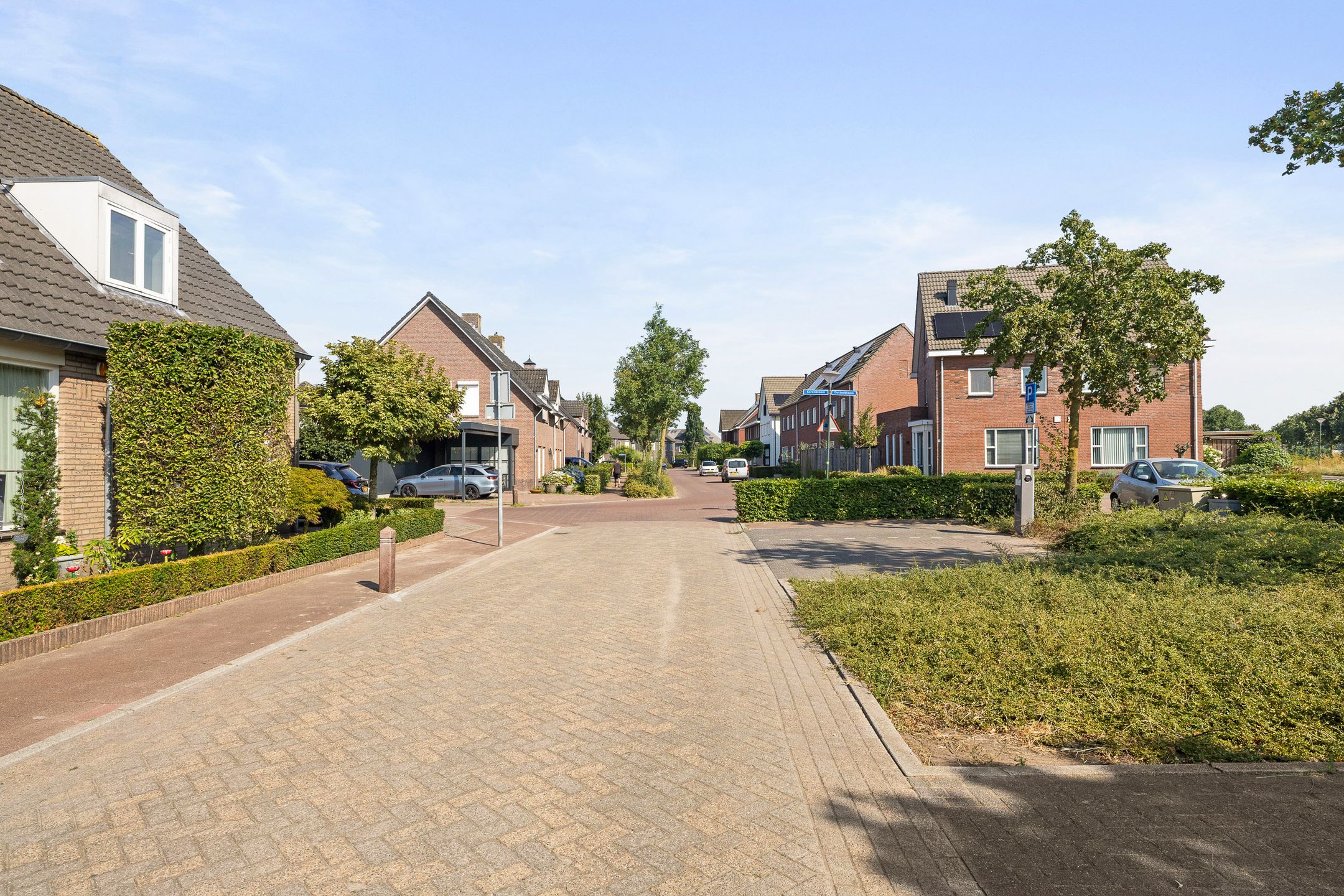 Photo 30 of Sleutelbloem 11