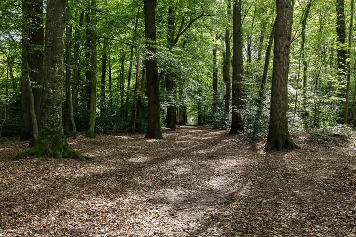 Woning te koop: Boslaan 27, Appelscha