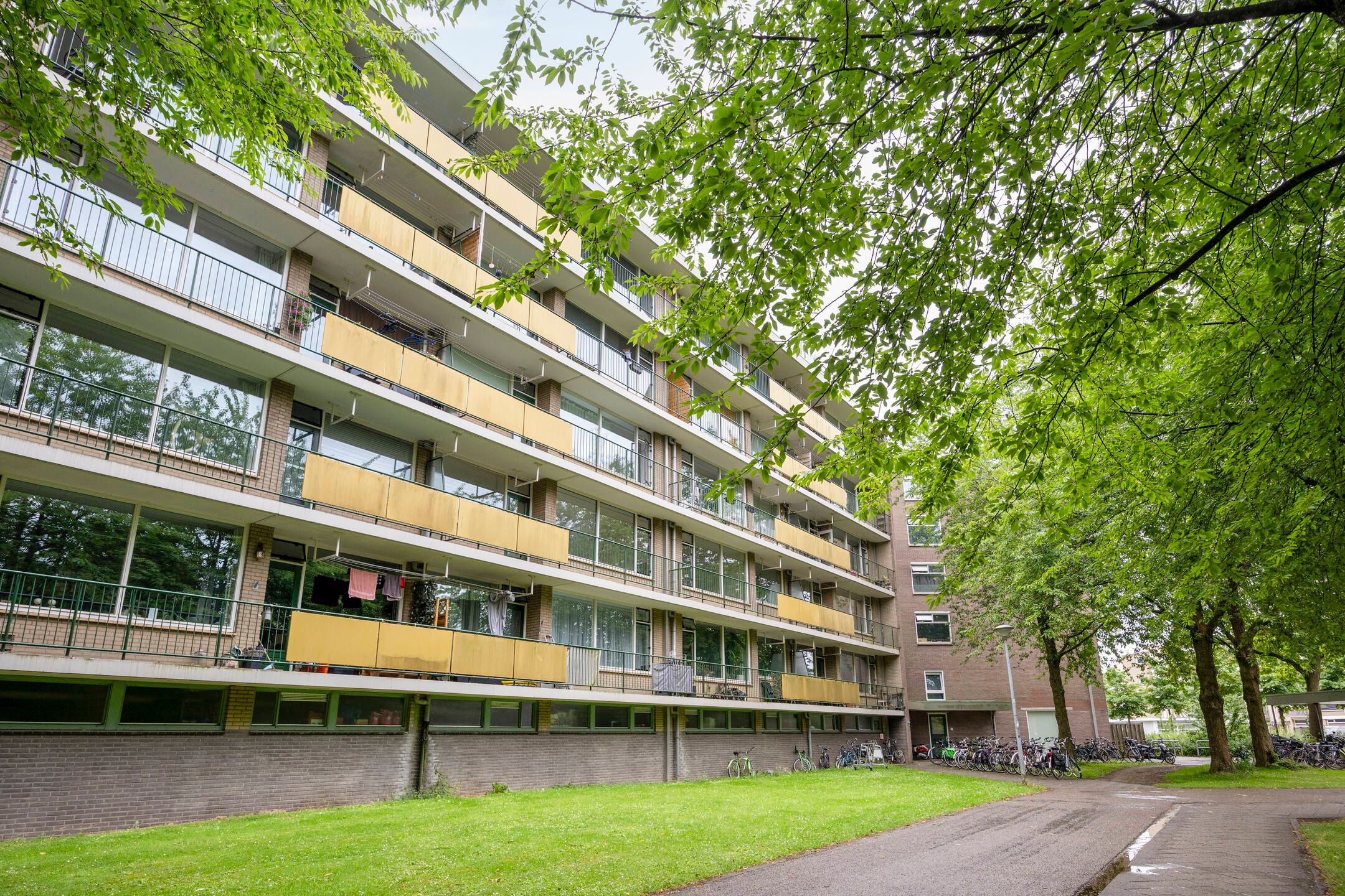 Troelstraweg 41 