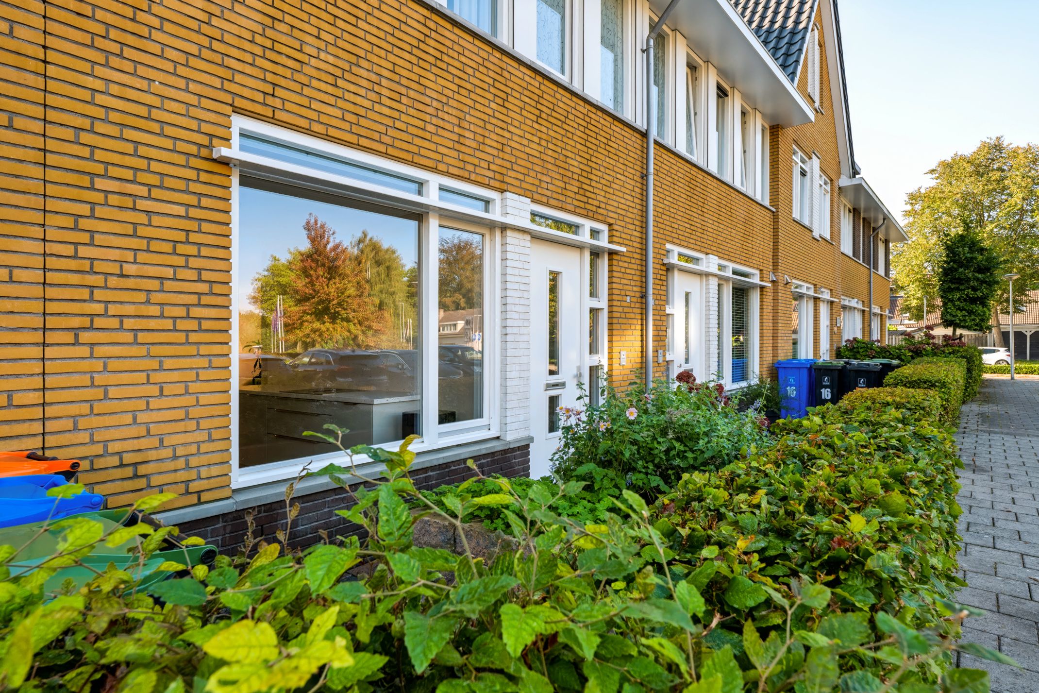 Photo 60 of Stelkamp 14