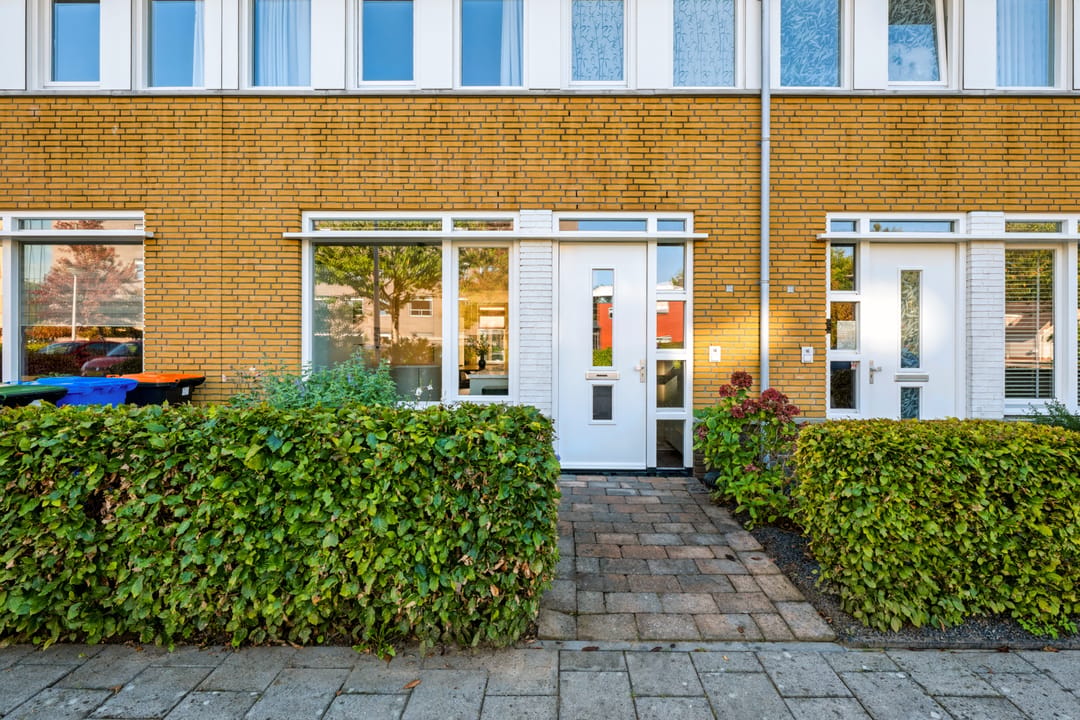 Photo 61 of Stelkamp 14