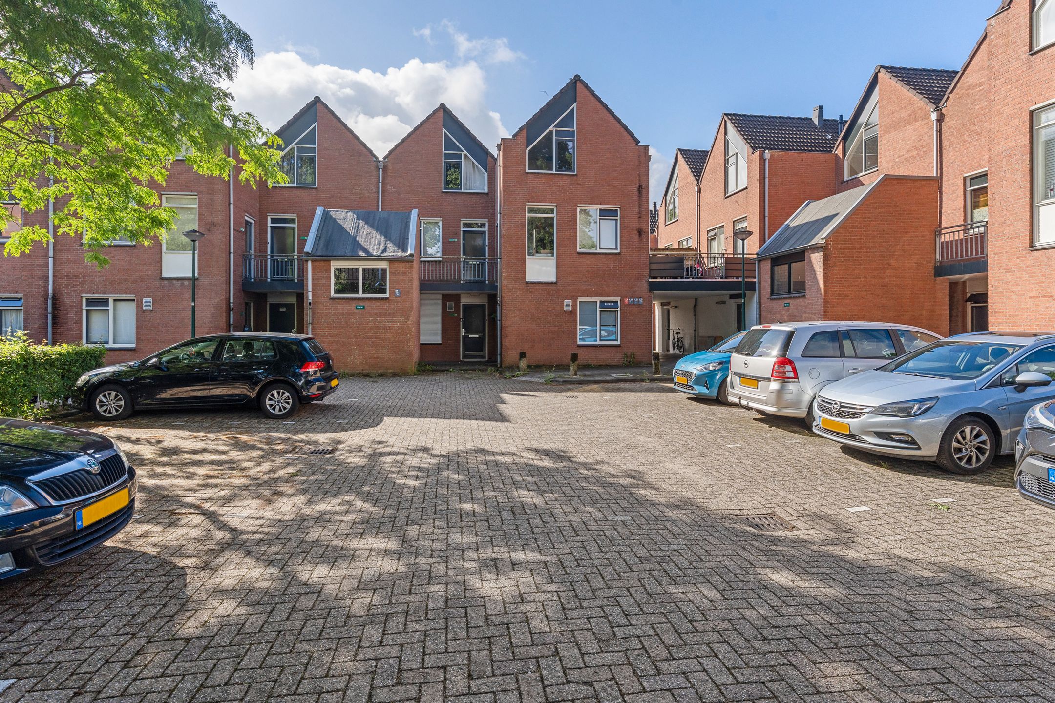 Antilopespoor 149 