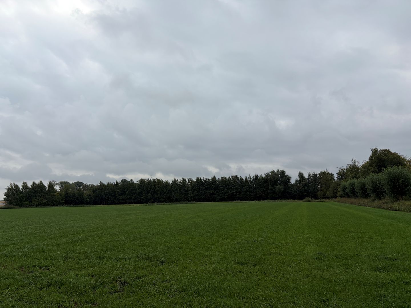 Bekijk foto 3 van Enterveenweg