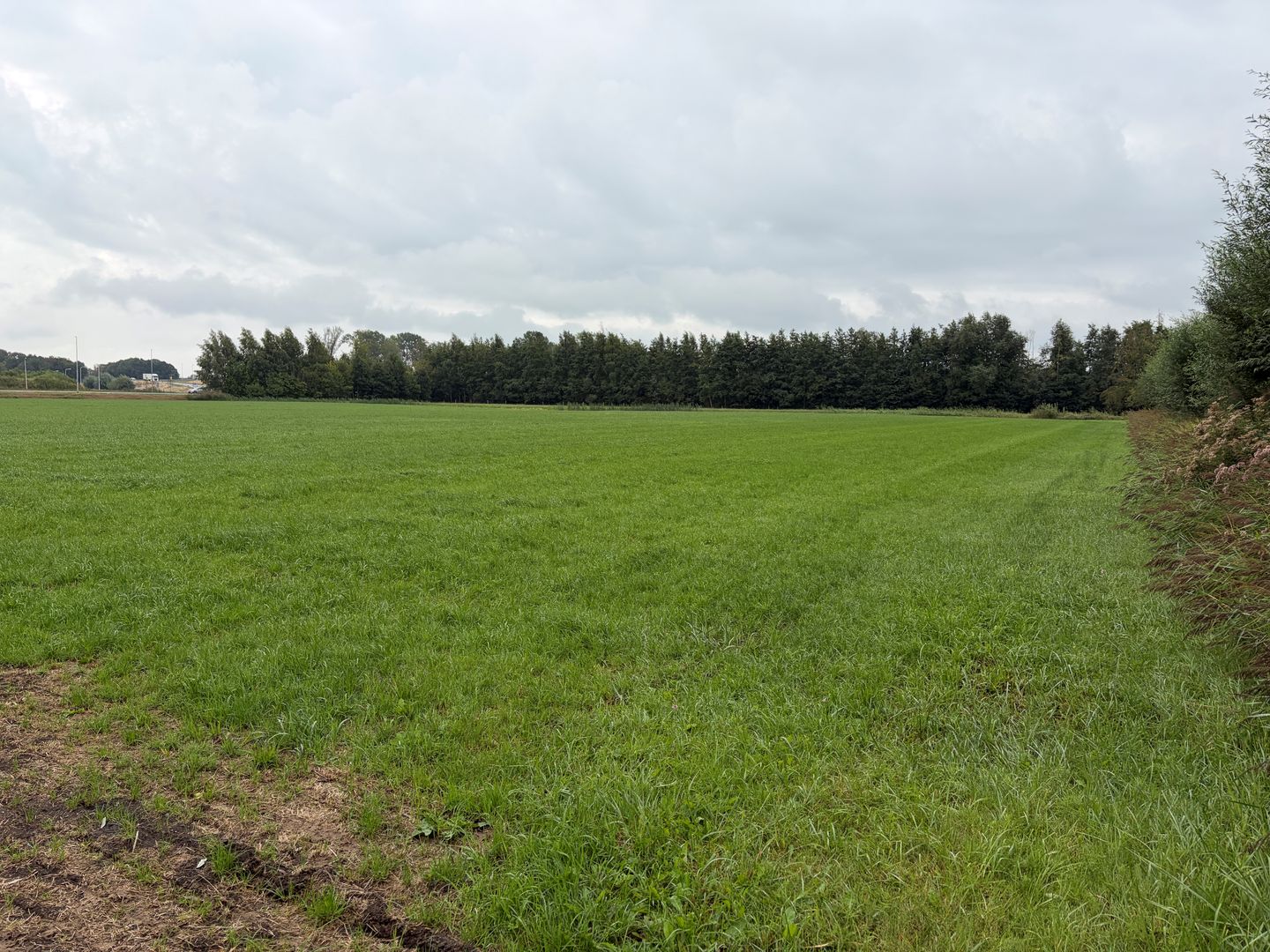 Bekijk foto 2 van Enterveenweg
