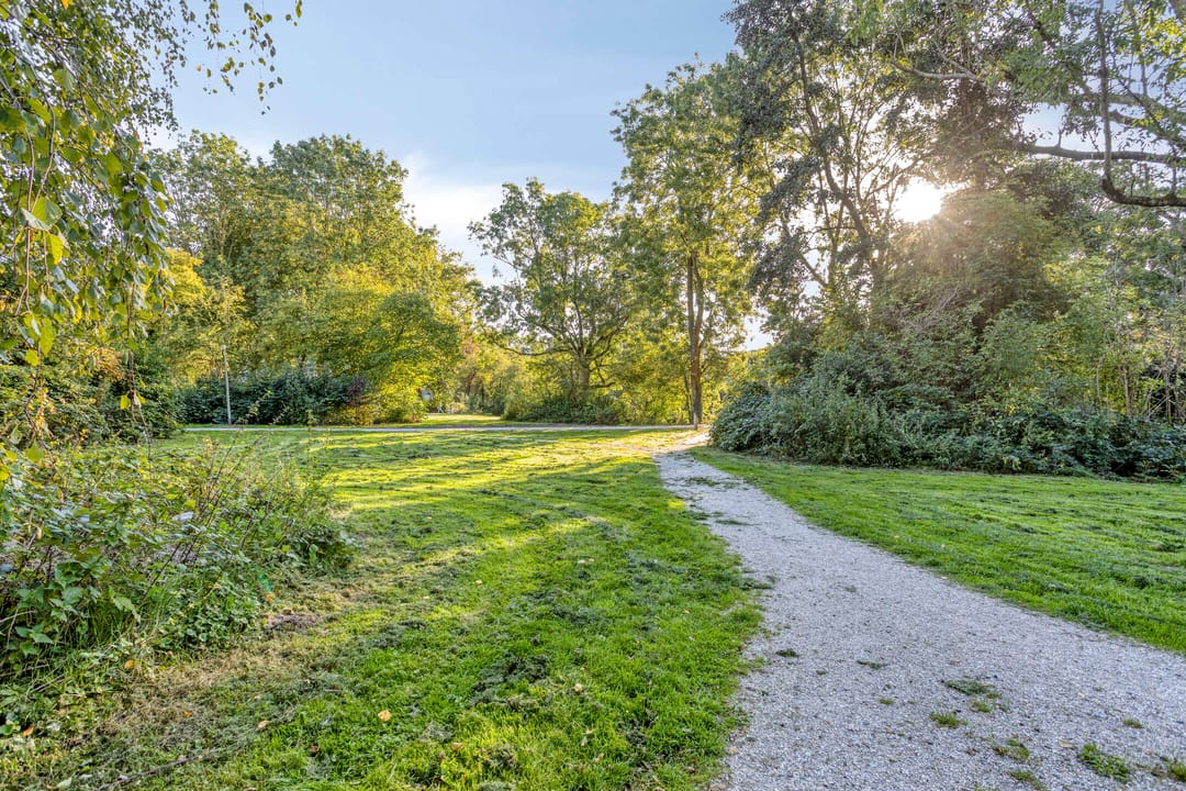 Photo 22 of De Roerdomp 19