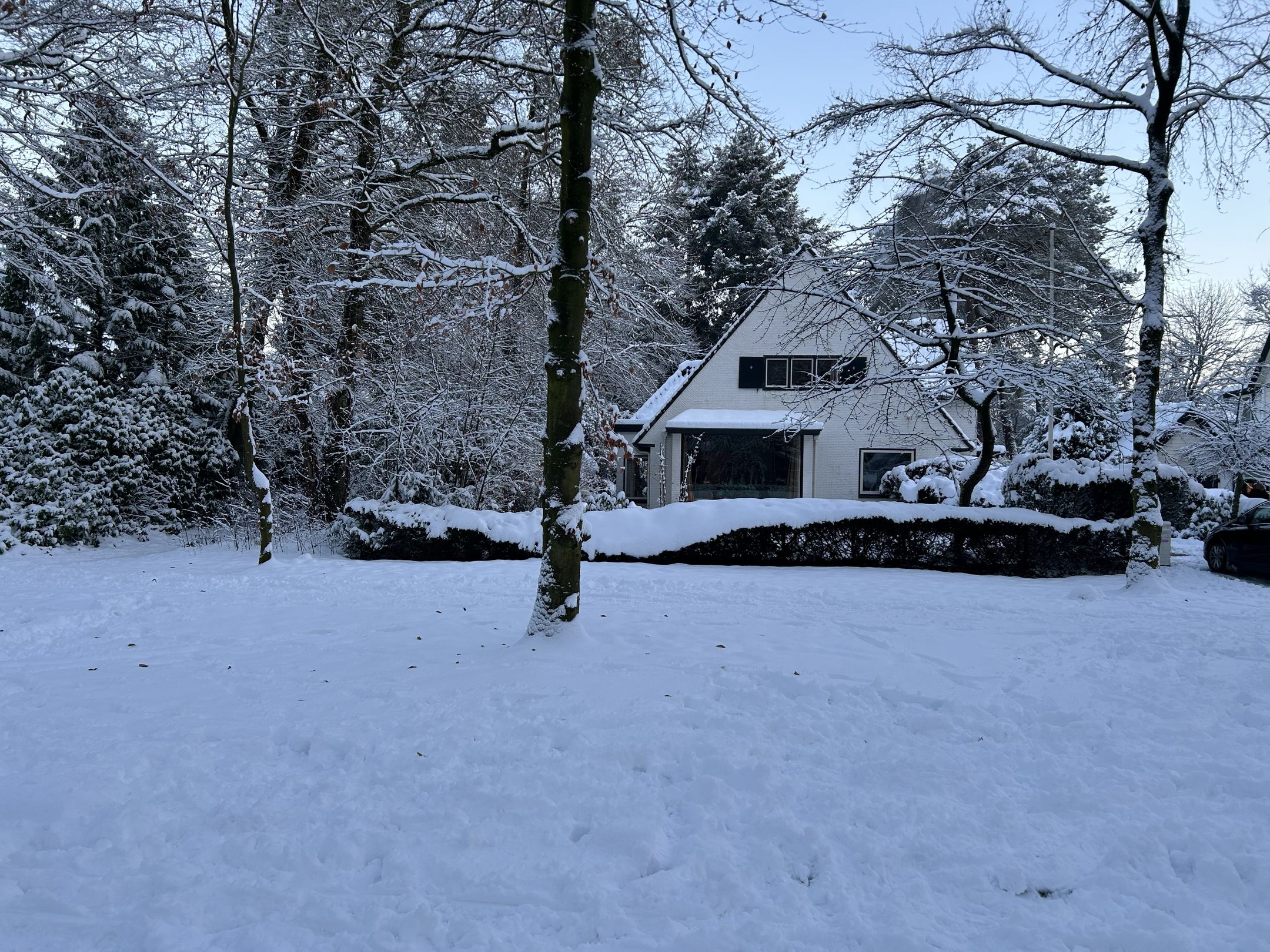 Foto 51 van Homeruslaan 10