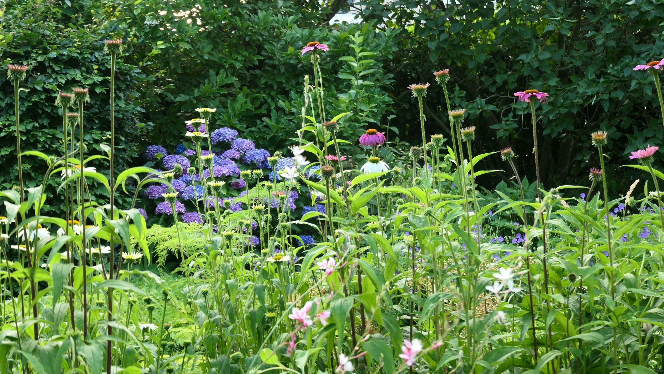 Foto 48 van Heilaarpark 21