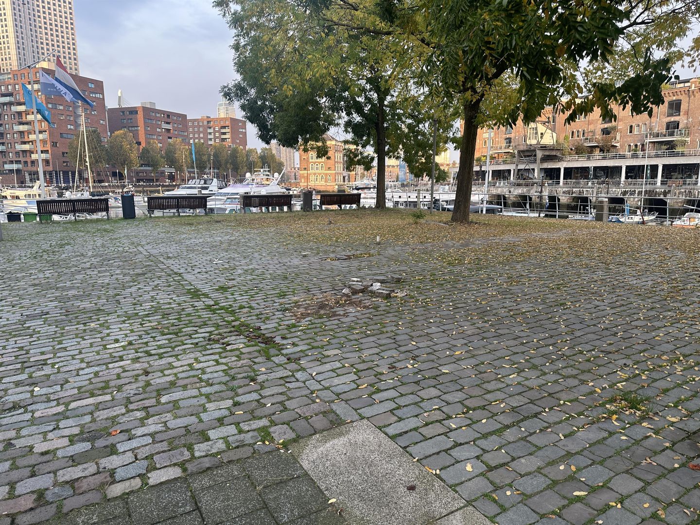 Bekijk foto 2 van Cargadoorskade 107