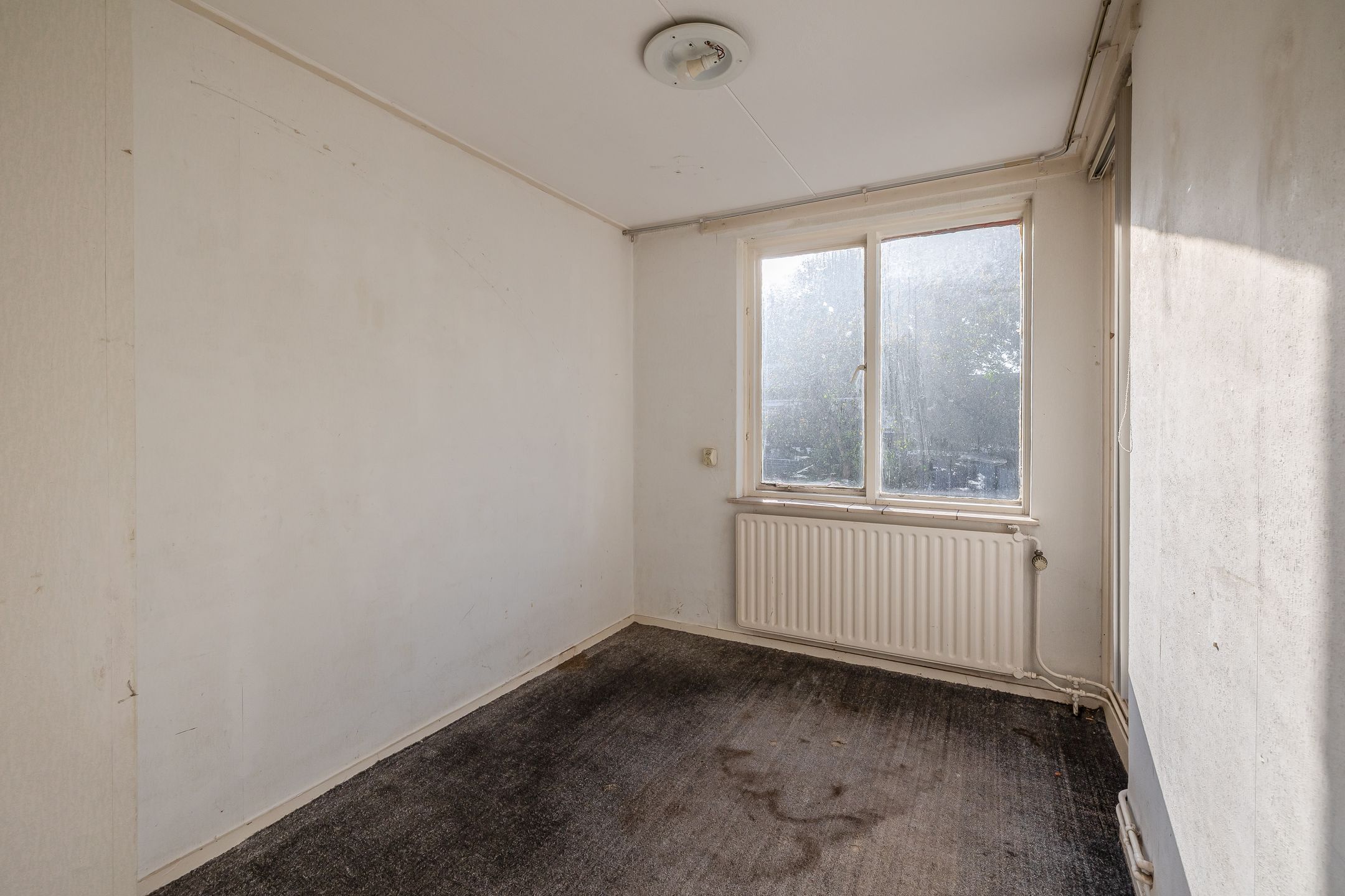 Photo 21 of Willem Kalfstraat 59