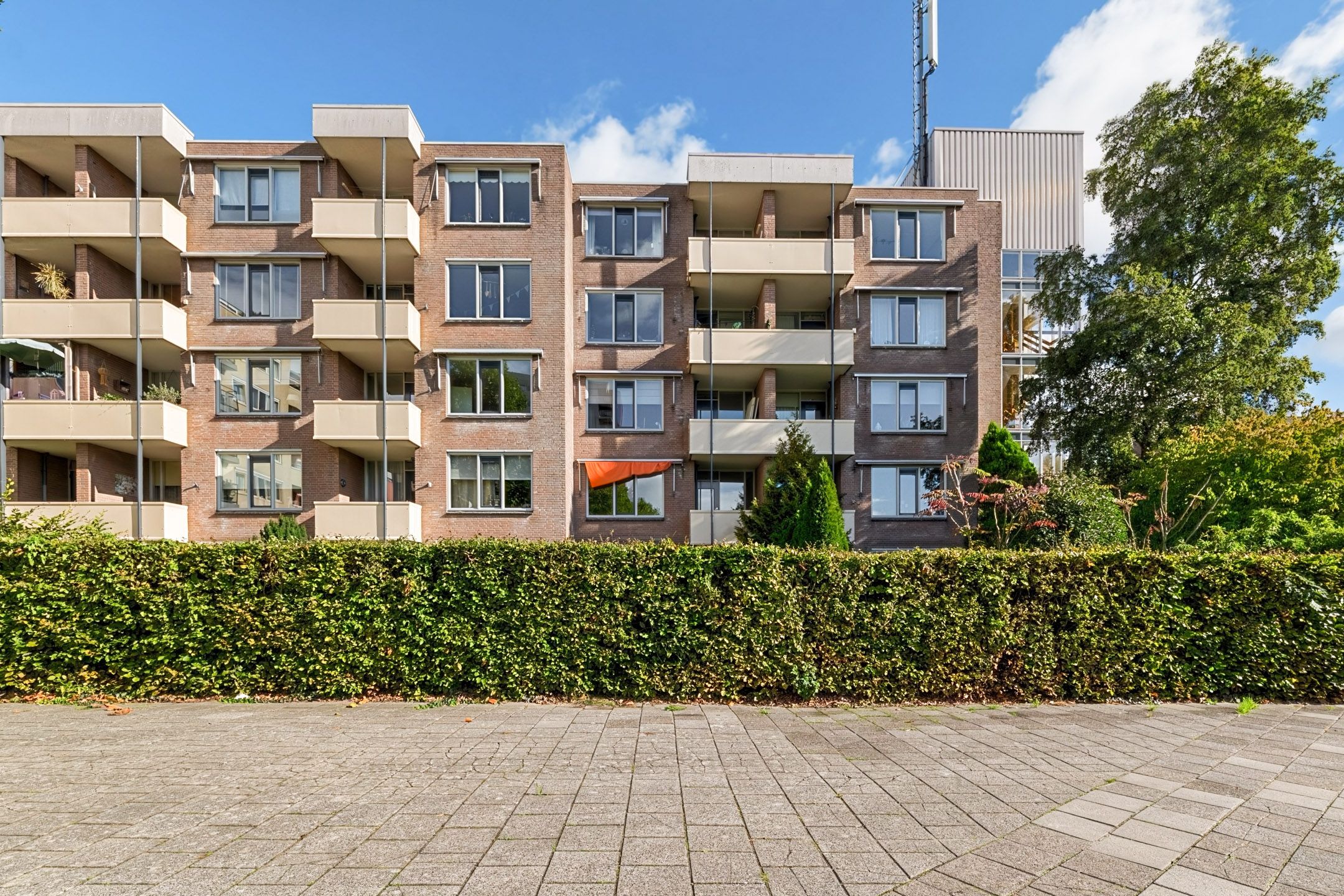 Bielzen 15 