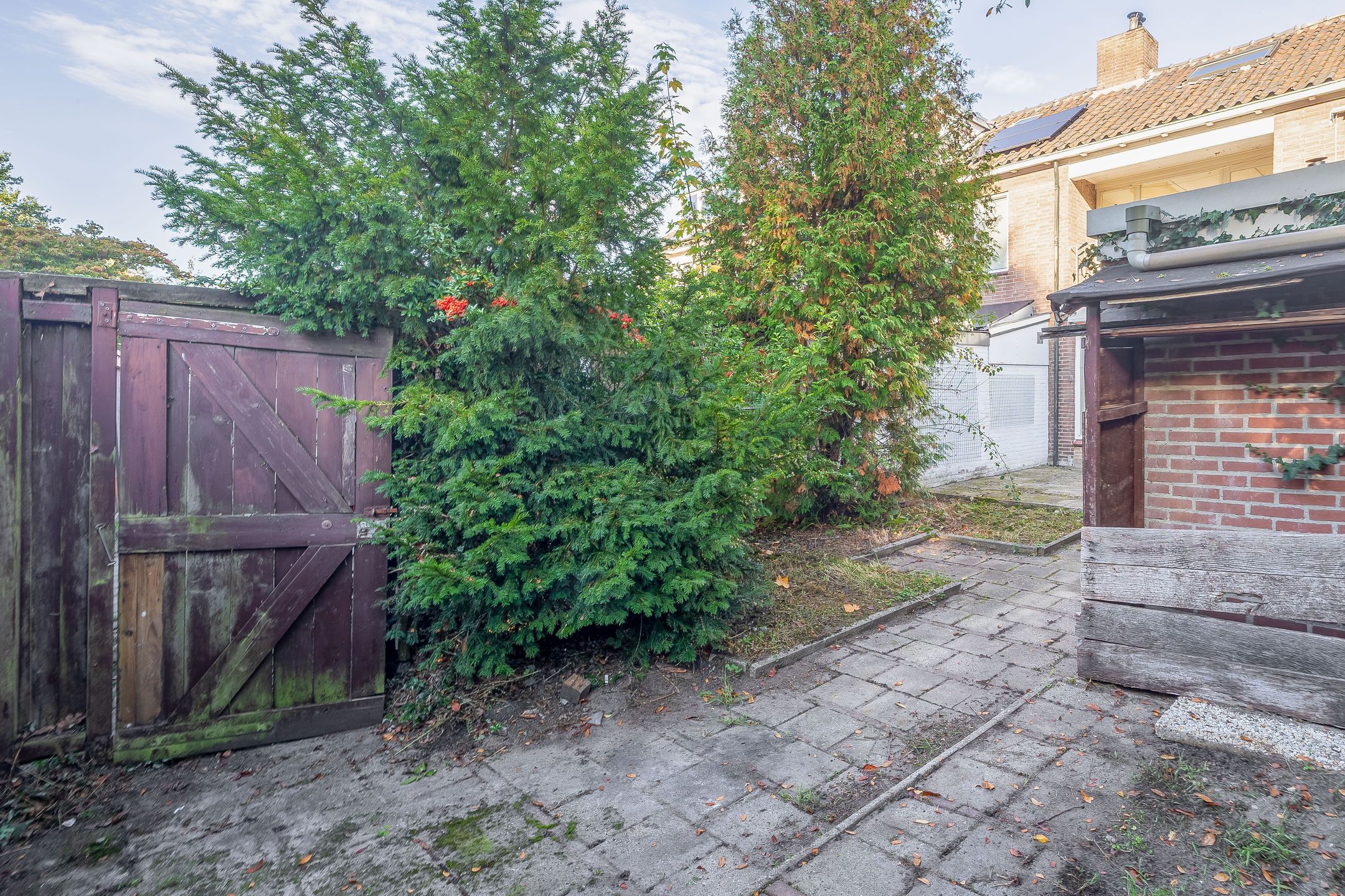 Photo 33 of Willem Kalfstraat 59