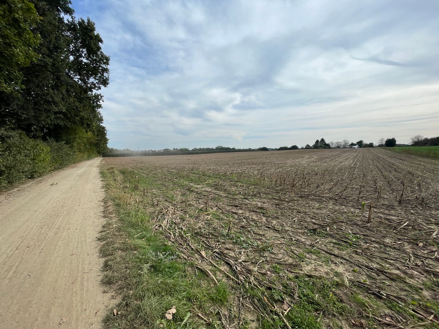 View photo 4 of Hekerbiltjensweg