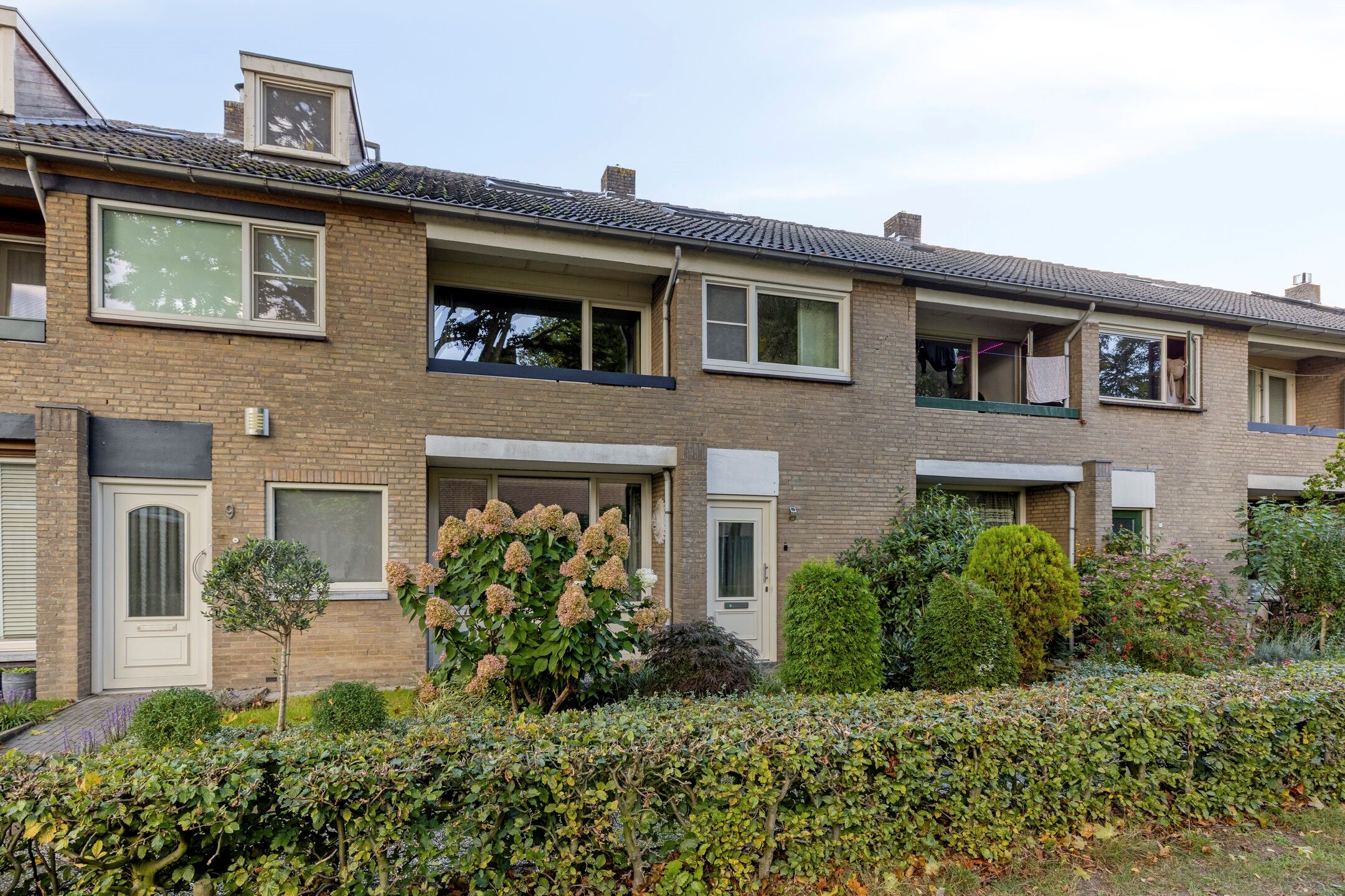 Foto 45 van Dorenbos 7