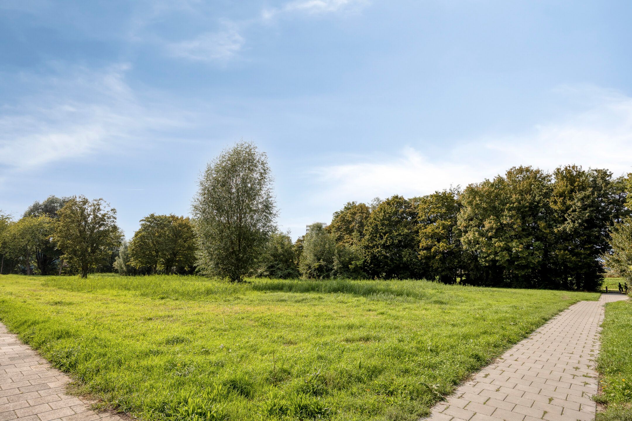 Photo 21 of Sanne van Havelteplein 43