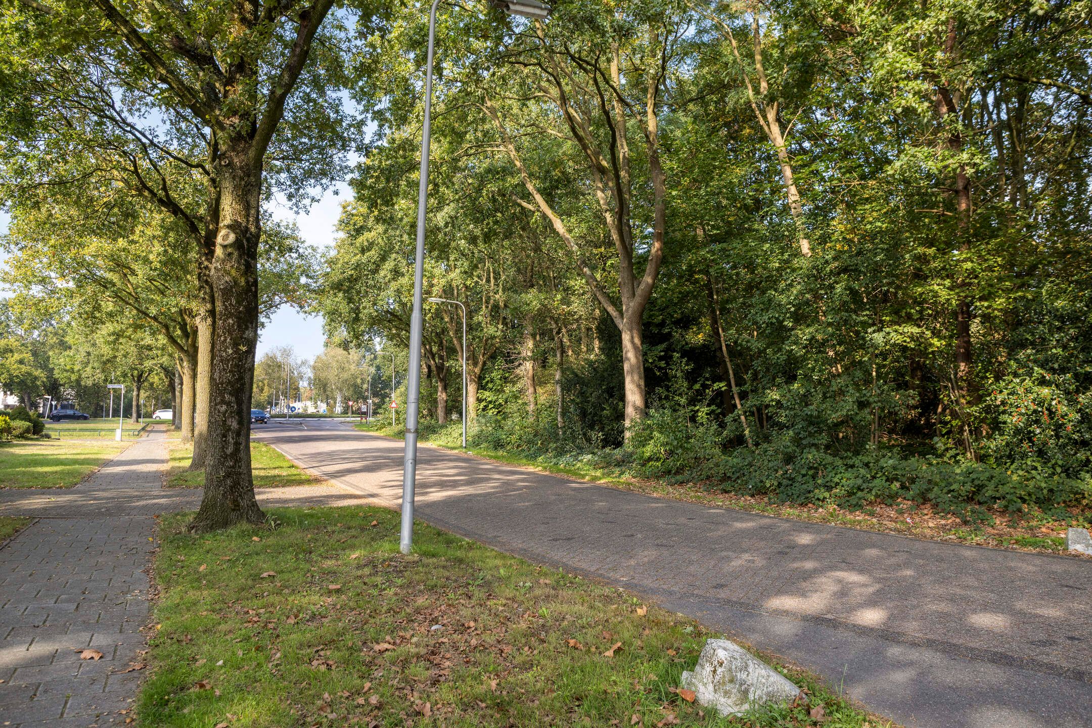Foto 42 van Witte Hoeflaan 63