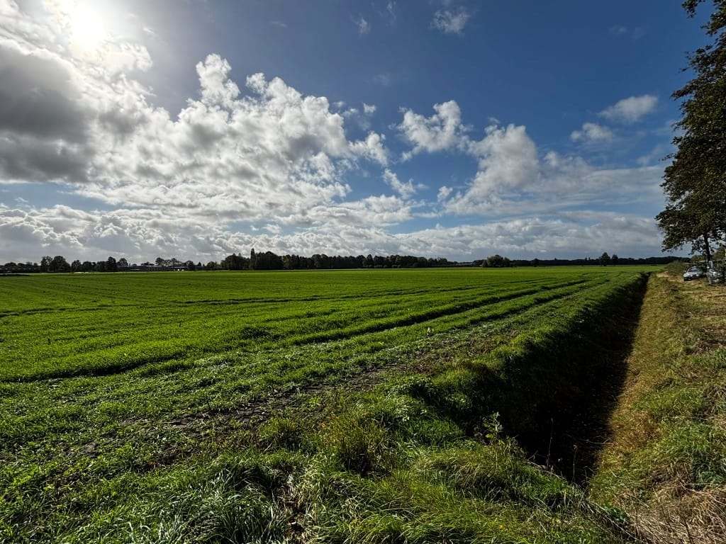 Bekijk foto 3 van Kleine Braakweg