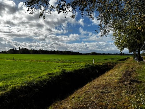 Bekijk foto's