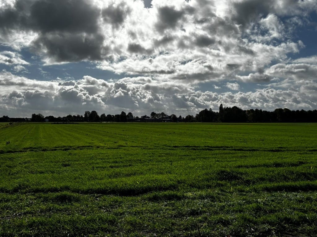 Bekijk foto 4 van Kleine Braakweg