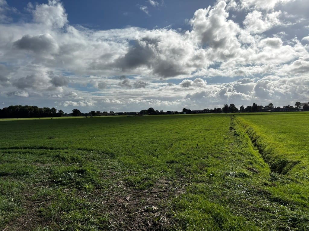 Bekijk foto 5 van Kleine Braakweg