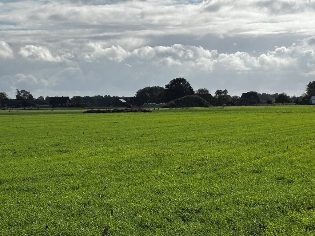 Kleine Braakweg - Loenen - Afbeelding 7