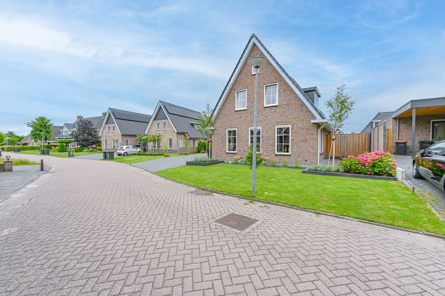 Photo 50 of Wolvenhaar 4
