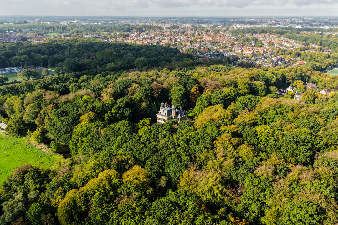 Photo 56 of Lange Voort 319