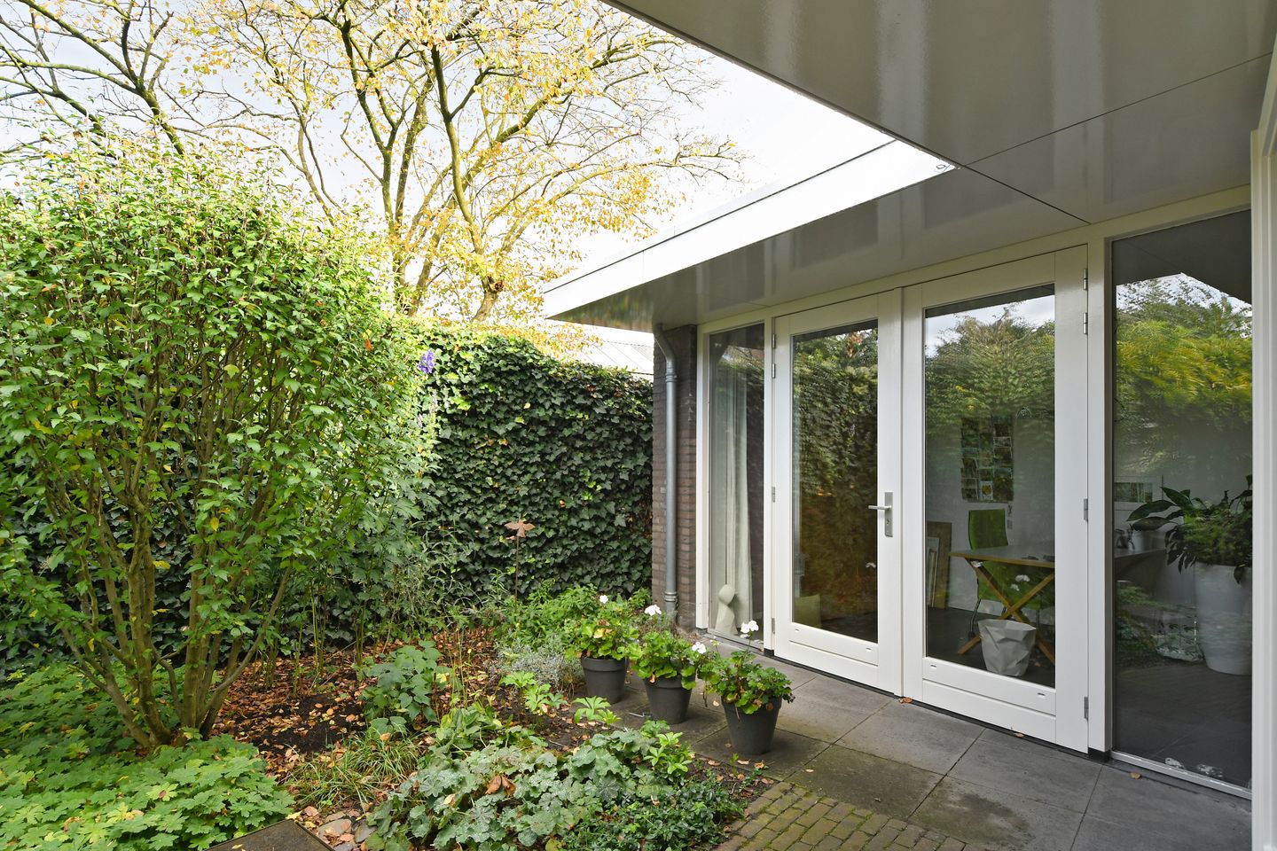 Photo 25 of Dassenberg 1