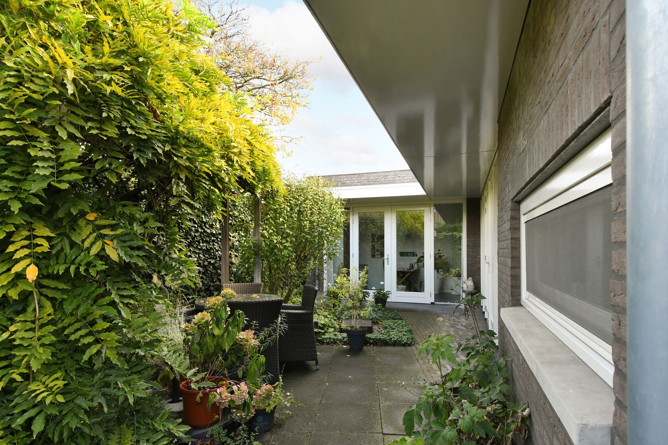 Photo 33 of Dassenberg 1