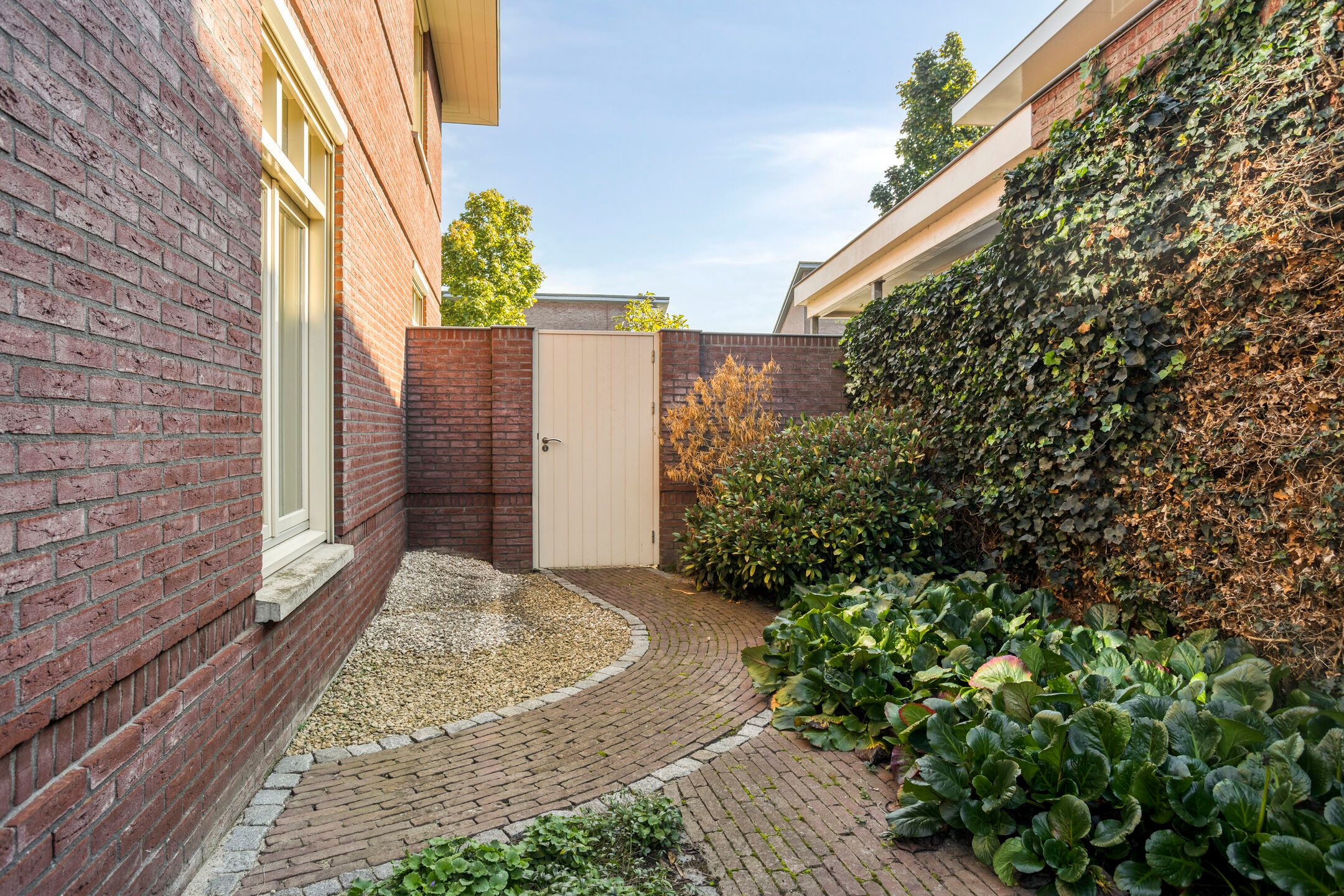 Foto 42 van Visven 56