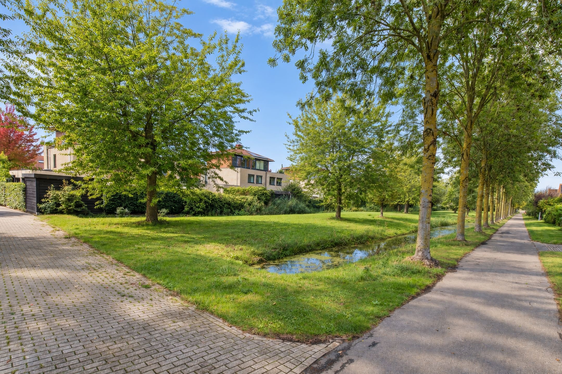 Foto 42 van Aalscholverstraat 29