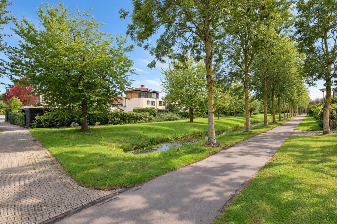 Foto 41 van Aalscholverstraat 29