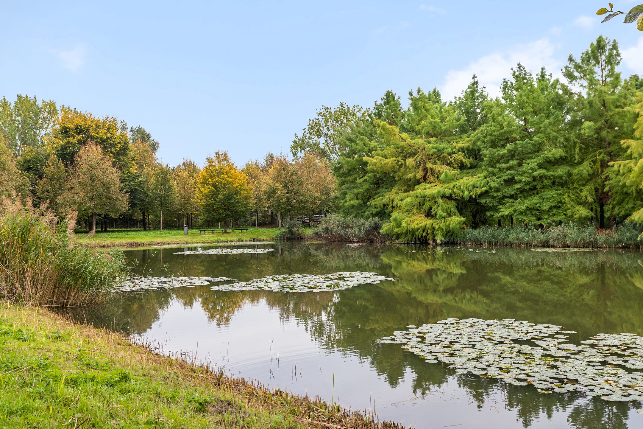 Photo 39 of Parkzichtlaan 186